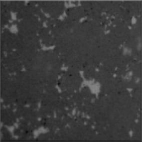 25 micron course PCD grain structure SEM image of Esteves polycrystalline diamond die